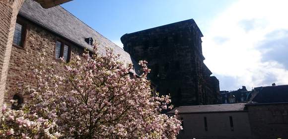 Stadt & Brücke: Kultur und Natur erleben!