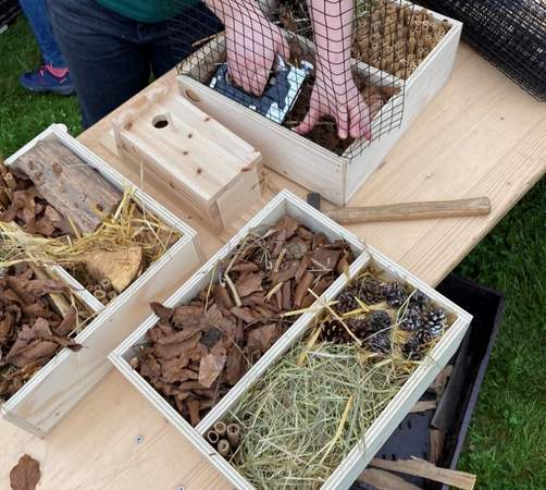 Bau-Aktion Lebenshabitat für Kleinstlebewesen