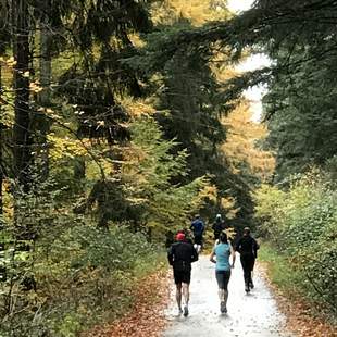 Firmen Event Natur Feel Good – Yoga & Natur als Firmen-Event