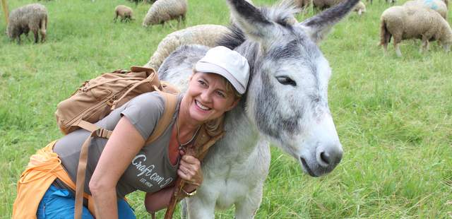 Schafe Hüten Teambuilding - gemeinsam unschlagbar! natuerlichteambuilding.de