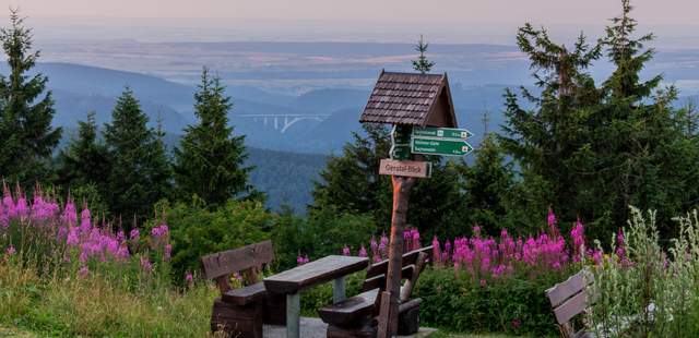 Oberhof im Sommer Sommerliches Tagen und Wandern in Oberhof
