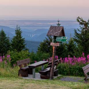 Oberhof im Sommer Sommerliches Tagen und Wandern in Oberhof