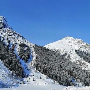 Hundeschlitten Workshop Hundeschlitten Workshop