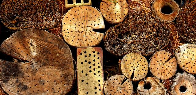 Den Insekten eine Chance geben und zur Nachhaltigkeit beitragen CSR-Event: Insektenhotels bauen!