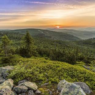 VISIONSFINDUNG im Naturpark Bayerischer Wald