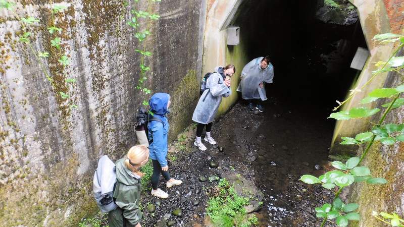 Survival Teamevent im Sachsenwald bei Hamburg