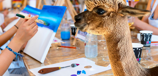 Paint & Drink Teamevent bei Alpakas Paint & Drink Teamevent bei Alpakas