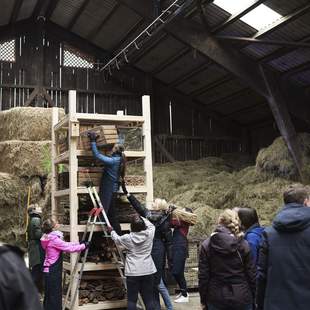 Teambuilding Aktion Lebensturm Hands-on Workshop - Lebenshabitat bauen