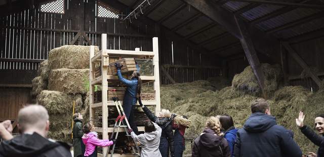 Teambuilding Aktion Lebensturm Hands-on Workshop - Lebenshabitat bauen