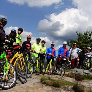 Roller Downhill Fahrt