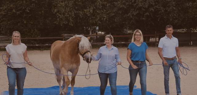 Teambuilding mit Pferden Teambuilding mit Pferden