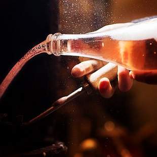 Werden Sie Sektmacher Werden Sie Sektmacher