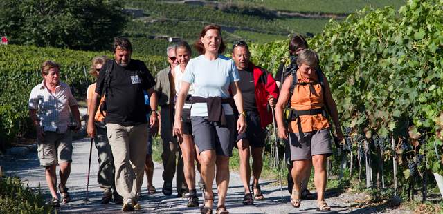 Wandern in den Weinbergen Wandern. Wein. Kultur. im Ahrtal