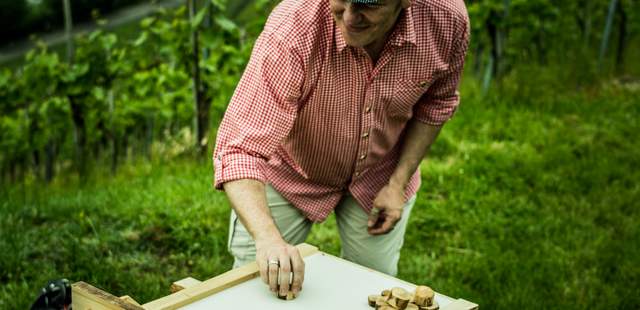 Weinsafari durch Stuttgarts Steinhalde Weinsafari durch Stuttgarts Steinhalde