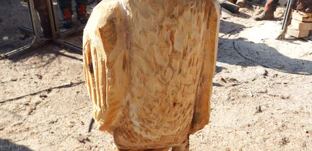 Teamevent "Schnitzen mit der Kettensäge" Teamevent "Schnitzen mit der Kettensäge"