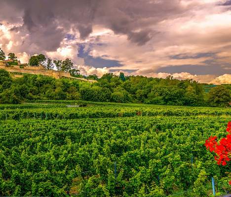 Betriebsausflug in Rheinland-Pfalz Betriebsausflug Rheinland-Pfalz