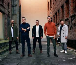 Birddogs Partyband, Coverband