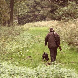 Wald & Weinwanderung