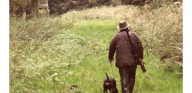 Wald & Weinwanderung Wald & Weinwanderung