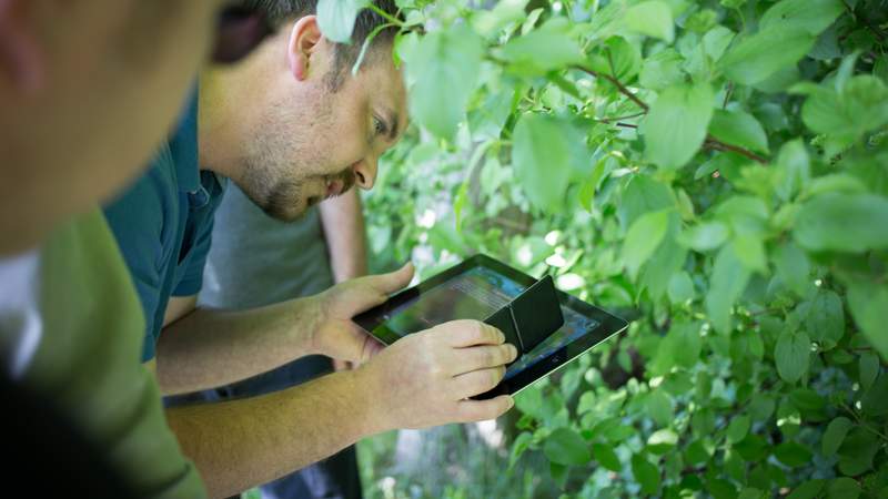 Das Magisches Portal - Das Teamabenteuer