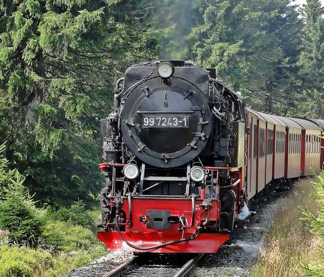 Betriebsausflug in den Harz Harz Betriebsausflug