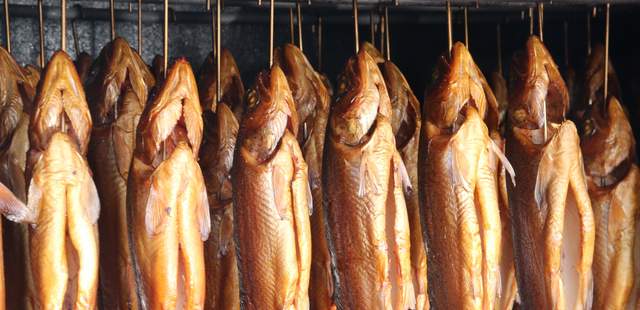 Forellen Mecklenburger Fischtag