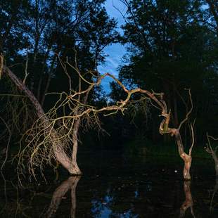 Geistreich Geistreich