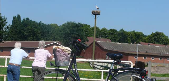 Radtour durch den Naturpark Dümmer See Radtour um den Dümmer See!