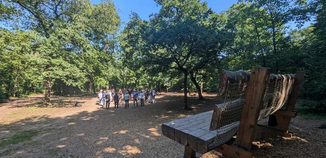 Lennebrg Wald Bank Teamtag- Teamtraining Mainz