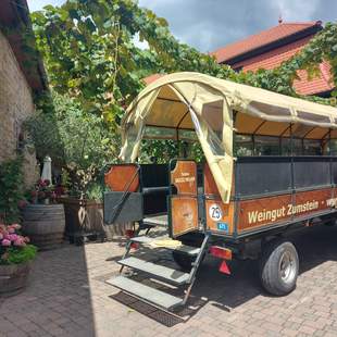 Wein zumstein Planwagen Zumstein