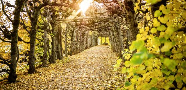 Wandern Rhönwanderung