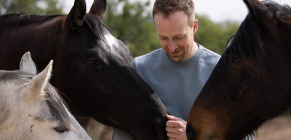 Gedankensprünge - Coaching mit Pferden