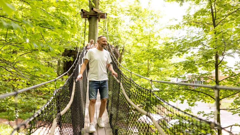 Kletterwald Hoherodskopf - Erlebnisberg