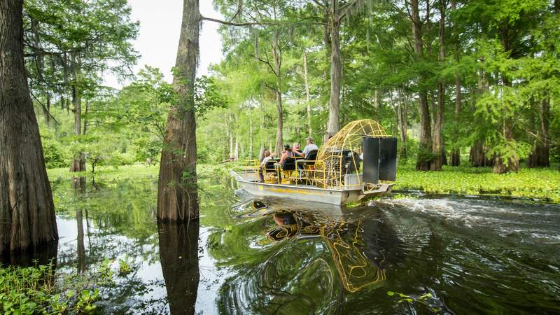 Airboat New Orleans