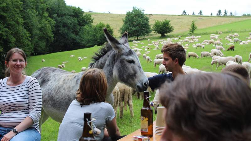 natuerlichteambuilding.de