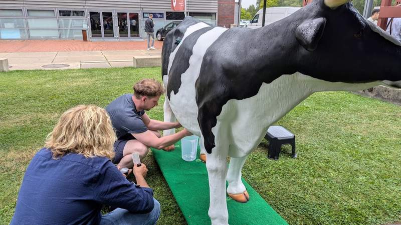 Sommerfest auf unserem Bauernhof an der Ruhr