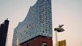 Elbphilharmonie Tour 1-stündige Führung inkl. Elphi Plaza