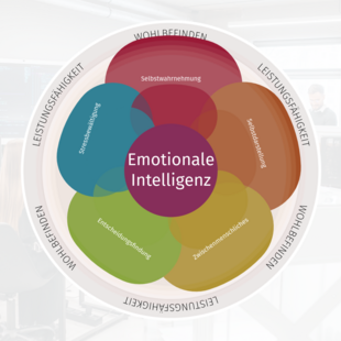 Titelbild EQ-i Emotional intelligente Teams
