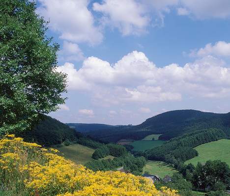 Betriebsausflug ins Sauerland Sauerland Betriebsausflug