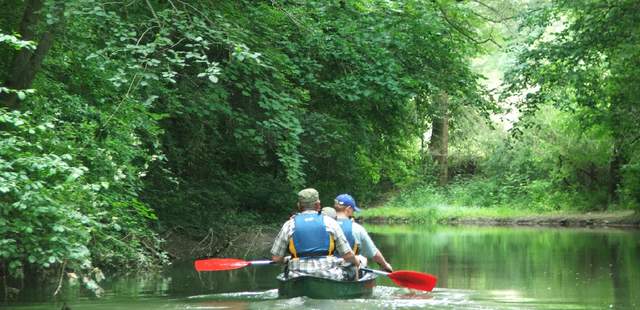 Altrheinarm Kanutour Altrheinarm Kanutour