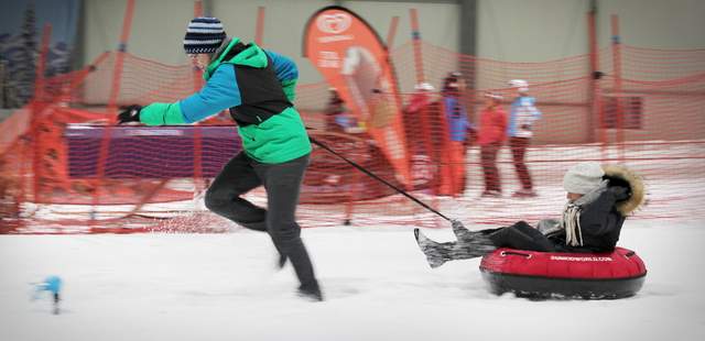Hundeschlitten-Rennen Teamevent: Winterolympiade