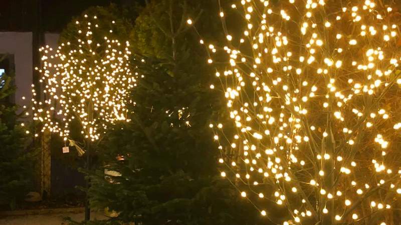 Zauberwald im Geheimen Garten 4Eck Garmisch-partenkirchen