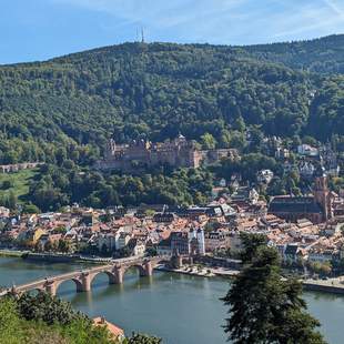 Teamtag - Teamtraining Heidelberg-Heilgenberg Teamtag - Teamtraining Heidelberg-Heilgenberg