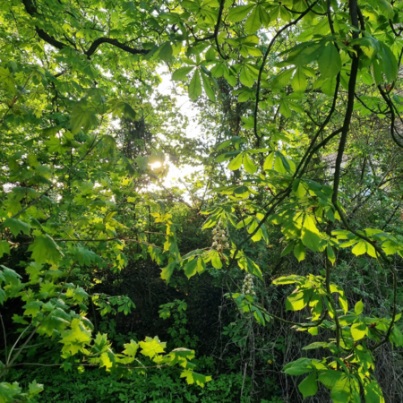 Entspannung in der Natur