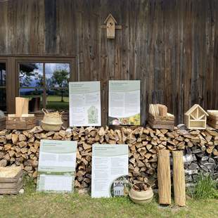 Insektenhotel Insektenhotel-Bau