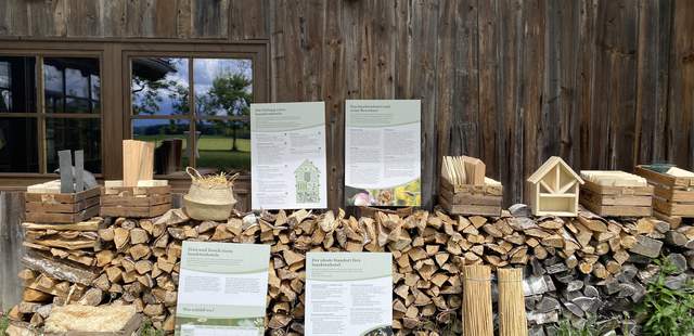 Insektenhotel Insektenhotel-Bau