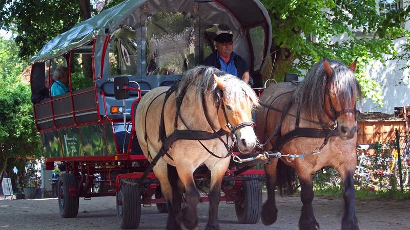 Weingutfest - Im Rheingau und Rheinhessen