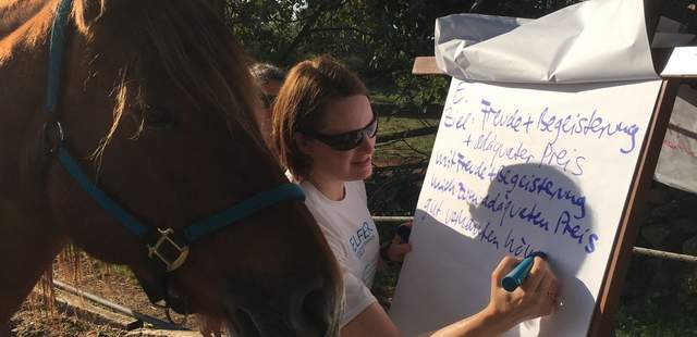 Katalysator Pferd-der entscheidende Unterschied im Ergebnis! Das Pferd als Menschenkenner/(s)canner