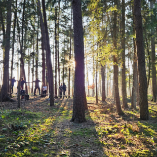 Zusammenhalt erleben – draußen im Team Gruppe von Menschen im Wald bei einer Teamübung – Zusammenarbeit, Vertrauen und Balance im Fokus