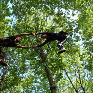 Hochseilgarten Black Forest Magic